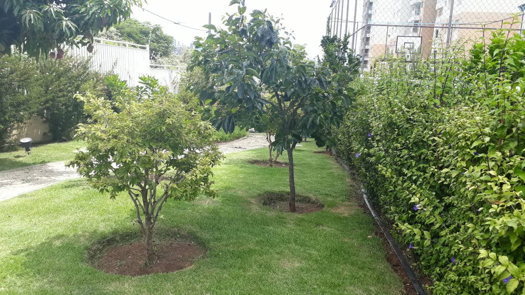 Ipê Jardinagem profissional - Sorocaba e Região