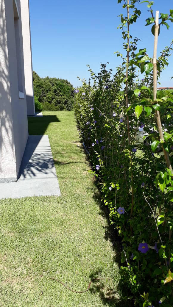 Ipê Jardinagem profissional - Sorocaba e Região