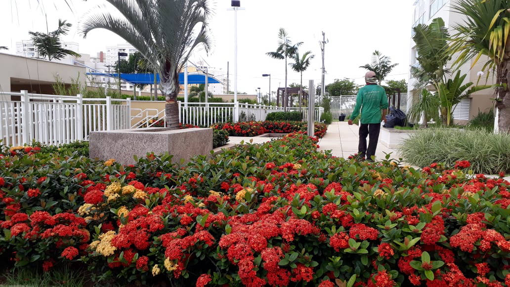 Ipê Jardinagem profissional - Sorocaba e Região