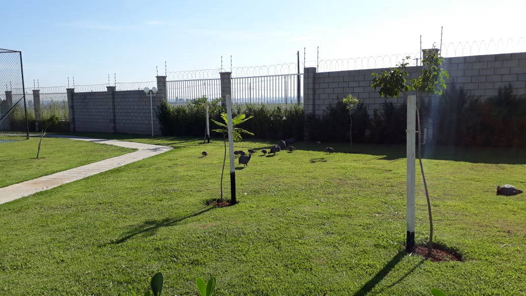 Ipê Jardinagem profissional - Sorocaba e Região